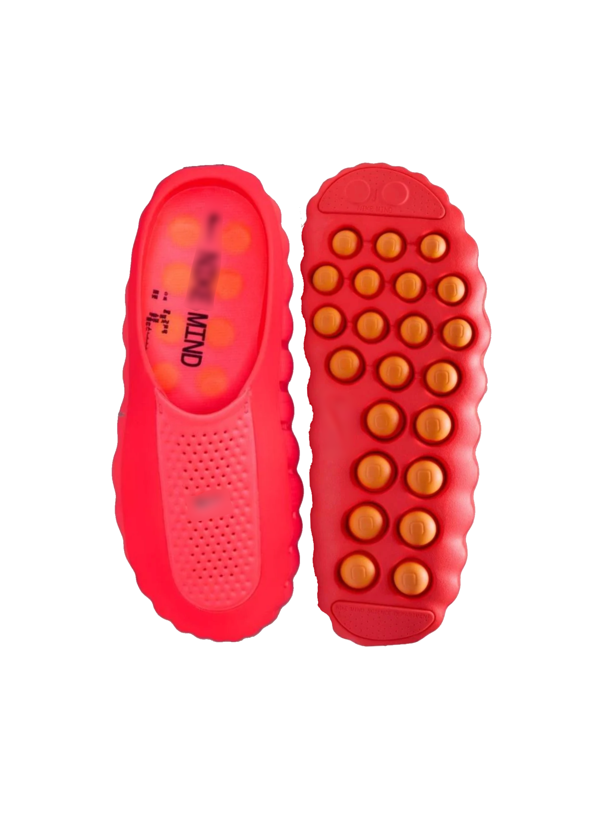 Red Mind Slides